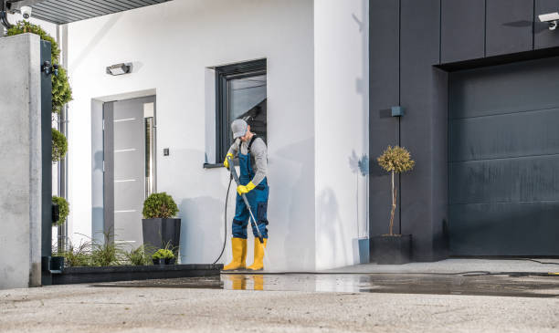 Best Graffiti Removal  in Arcadia, FL